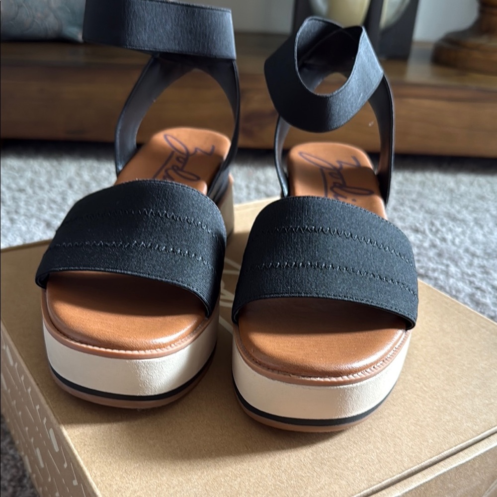 Zodiac Black and Brown Platform Shoes